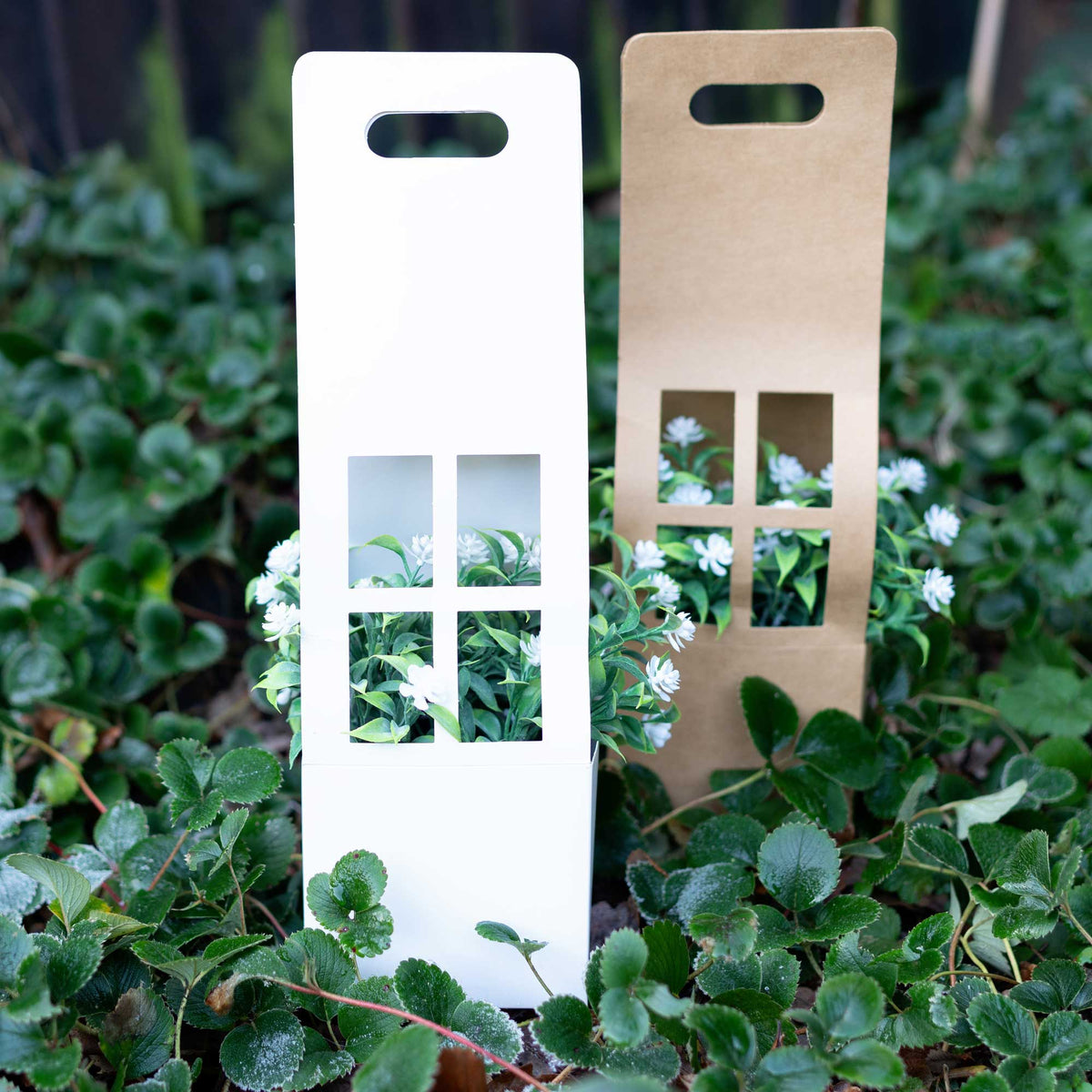 White Flower/Plant Carrier Boxes